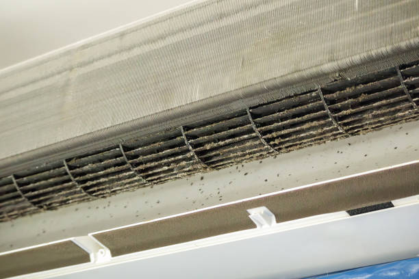 Best Air Duct Mold Removal  in Pacific Grove, CA
